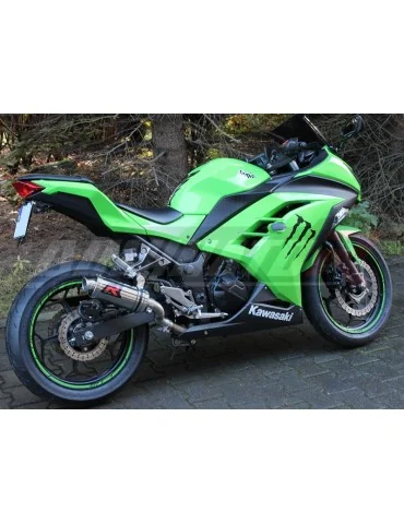 Silencieux slip-on Dominator GP1 pour Kawasaki ZX3R ZX 300R