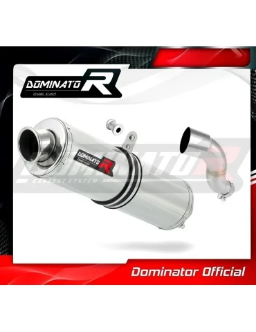 Silencieux slip-on Dominator ST pour Kawasaki ZX3R ZX 300R