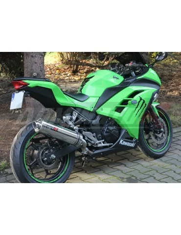 Silencieux slip-on Dominator ST pour Kawasaki ZX3R ZX 300R