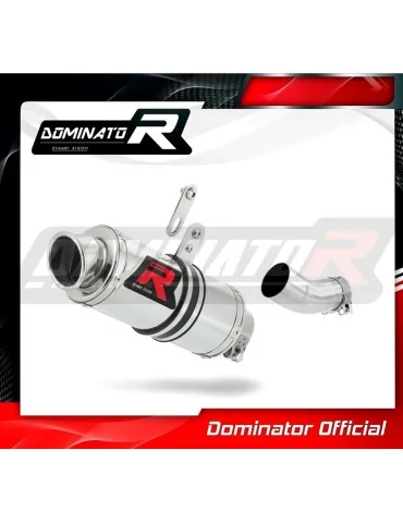 Silencieux slip-on Dominator GP1 pour Aprilia RSV 4 RR Low Level (2015-2016)