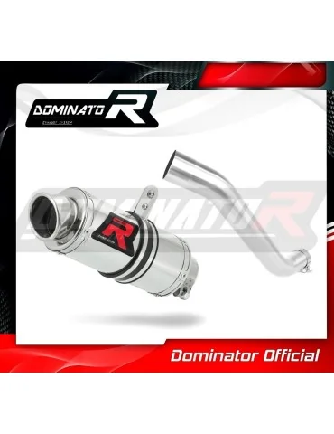 Silencieux slip-on Dominator GP1 pour Aprilia RSV 4 RR (2015-2016)
