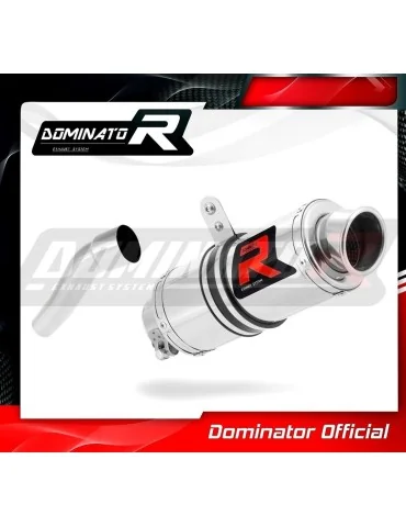 Silencieux slip-on Dominator GP1 pour Aprilia RS 125 (1999-2005)
