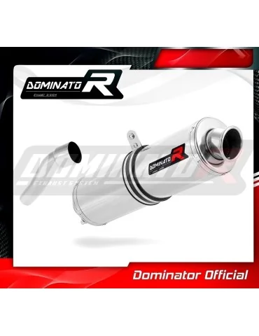 Silencieux slip-on Dominator ST pour Aprilia RS 125 (1999-2005)