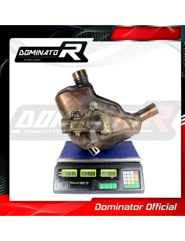 Décatalyseur inox Dominator pour Ducati MTS 1200 / 1200 S Multistrada 2015-2017