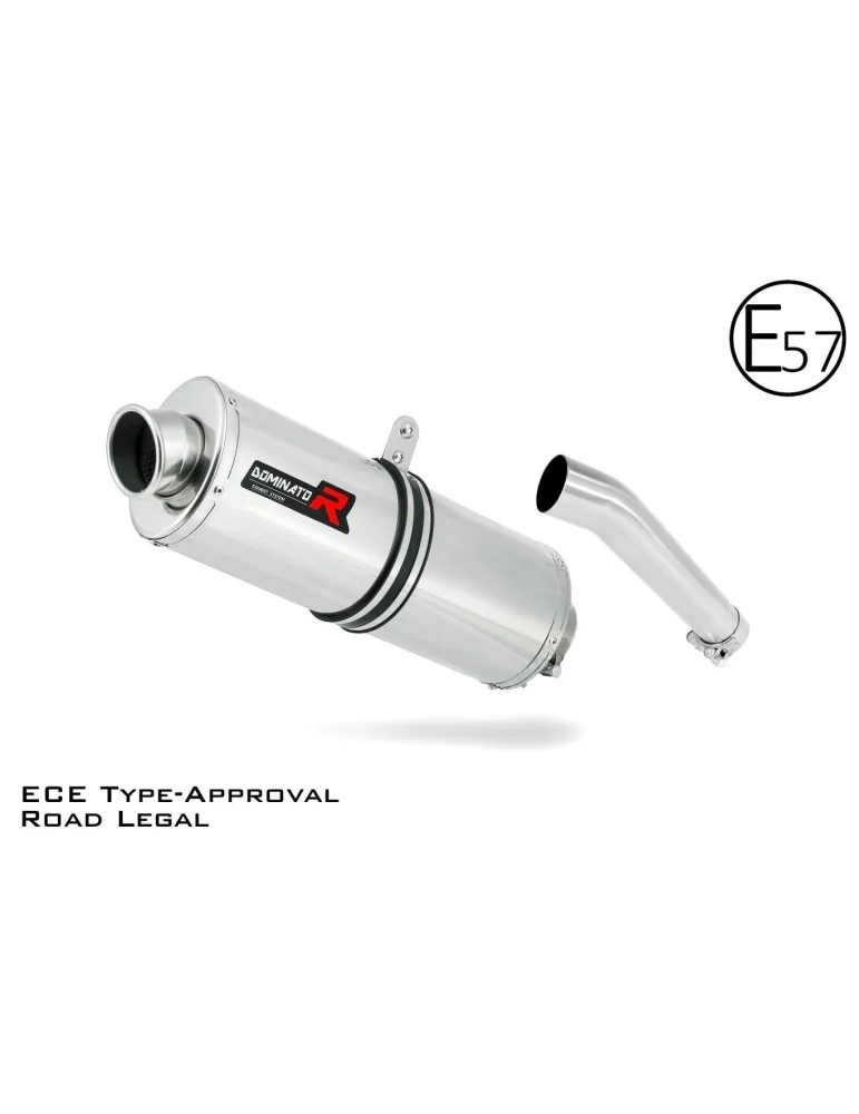 Silencieux slip-on homologué Dominator OV pour Yamaha FZS Fazer 600 (1998-2003)