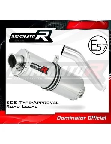 Silencieux slip-on homologué Dominator OV pour Kawasaki ZX6R 636 (2003-2004)