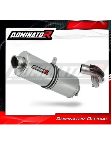 Silencieux slip-on Dominator OV pour BMW S1000XR (2015-2019)