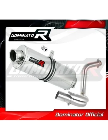 Silencieux slip-on Dominator OV pour BMW G310GS (2016-2024)