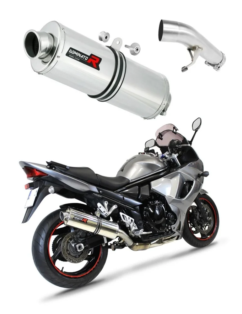 Silencieux slip-on Dominator OV pour Suzuki GSX 1250 FA (2010-2016)