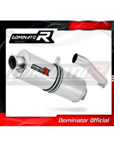 Silencieux slip-on Dominator OV pour Yamaha FZS Fazer 600 (1998-2003)