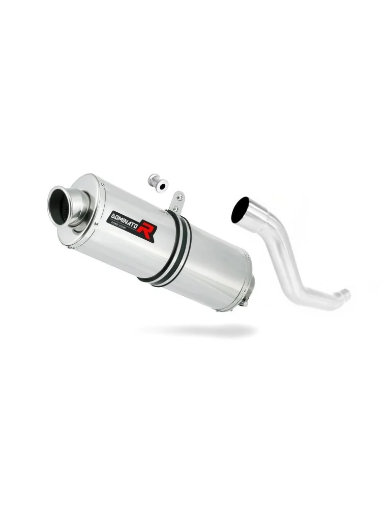 Silencieux slip-on Dominator OV pour Suzuki XF 650 Freewind (1997-2003)