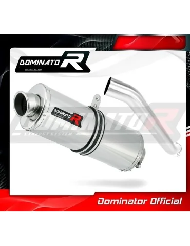 Silencieux slip-on Dominator OV pour Kawasaki ZX6R 636 (2003-2004)