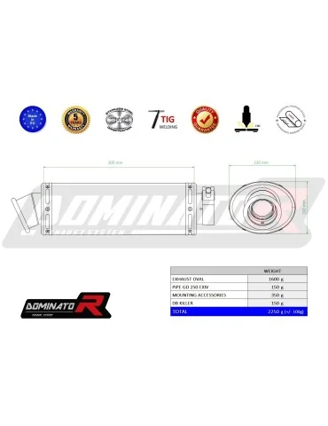 Silencieux slip-on Dominator OV pour Hyosung GD 250 Exiv
