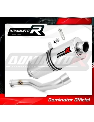 Silencieux slip-on Dominator OV pour BMW R850GS