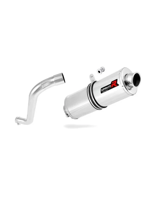 Silencieux slip-on Dominator OV pour BMW F650 Funduro