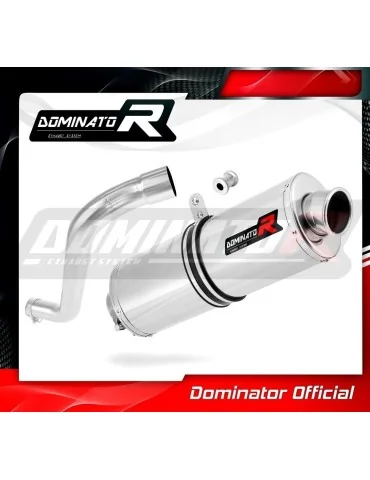 Silencieux slip-on Dominator OV pour BMW F650 Funduro