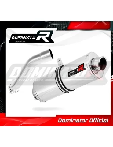 Silencieux slip-on Dominator OV pour BMW F650 CS (2002-2005)
