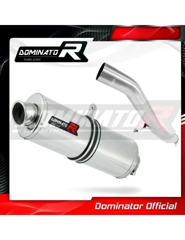 Silencieux slip-on Dominator OV pour Kawasaki GTR 1400 (2007-2009)