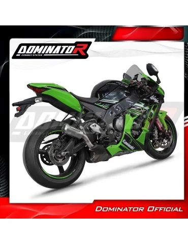 Silencieux slip-on Dominator GPS pour Kawasaki ZX10R (2016-2020)