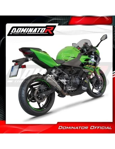 Silencieux slip-on Dominator GPS pour Kawasaki Ninja 400 (2018-2023)