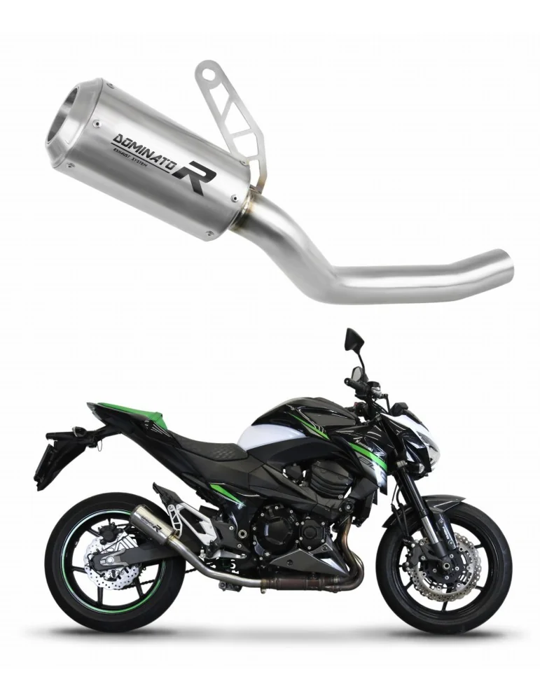 Silencieux slip-on Dominator GPS pour Kawasaki Z800 (2013-2016)