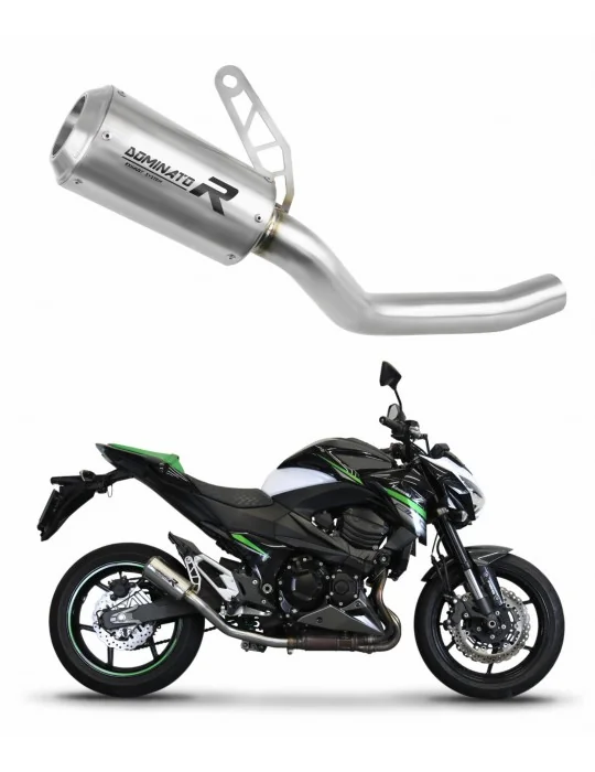 Silencieux slip-on Dominator GPS pour Kawasaki Z800 (2013-2016)