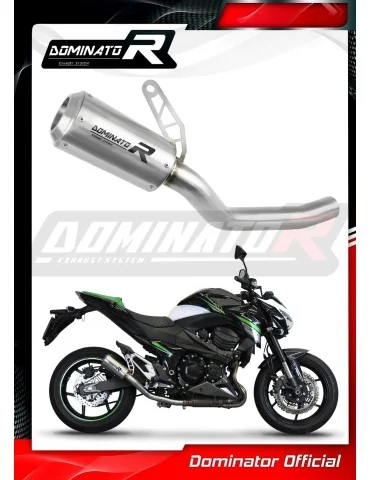 Silencieux slip-on Dominator GPS pour Kawasaki Z800 (2013-2016)