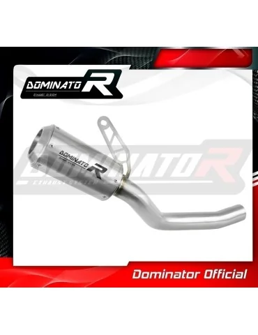 Silencieux slip-on Dominator GPS pour Kawasaki Z800 (2013-2016)