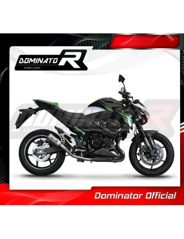 Silencieux slip-on Dominator GPS pour Kawasaki Z800 (2013-2016)
