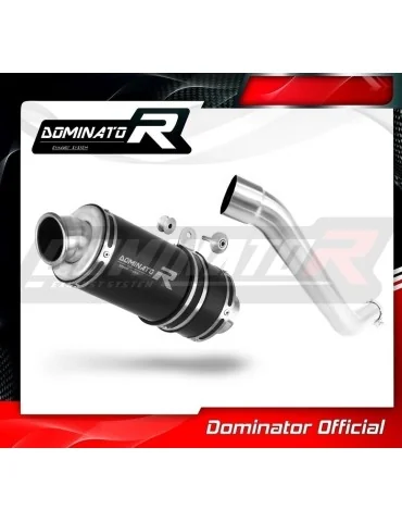Silencieux slip-on Dominator GP1 Noir pour Kawasaki Z750 (2004-2006)