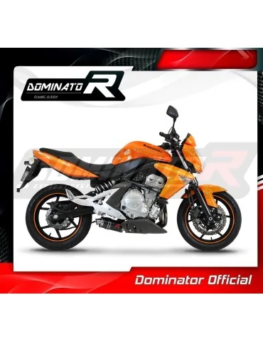 Silencieux slip-on Dominator GP1 Noir pour Kawasaki ER - 6 N / F 650 (2009-2011)