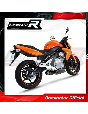 Silencieux slip-on Dominator GP1 Noir pour Kawasaki ER - 6 N / F 650 (2006-2008)