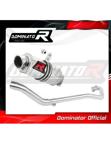 Ligne d'échappement complète inox Dominator GP1 pour Suzuki GSX R 125 (2017-2019)