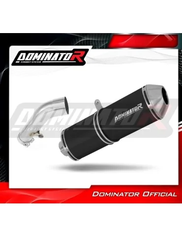 Silencieux slip-on Dominator OVR Noir pour BMW R1200R (2006-2009)