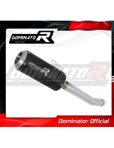 Silencieux slip-on Dominator GP Noir pour Honda CBR 250 R (2011-2013)