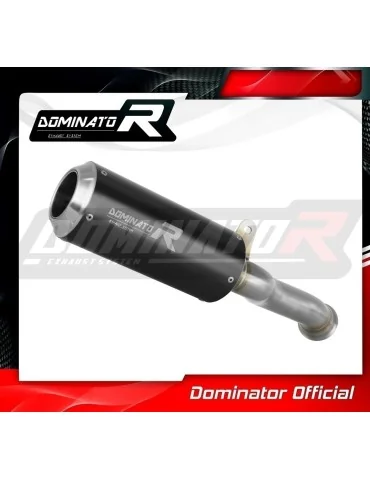 Silencieux slip-on Dominator GP Noir pour KTM 890 Duke (2020-2023)