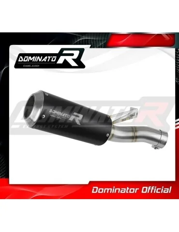 Silencieux slip-on Dominator GP Noir pour BMW F900R (2020-2026)