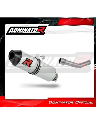 Silencieux slip-on Dominator MX2 pour Kayo K5 300 Enduro (2024-2025)