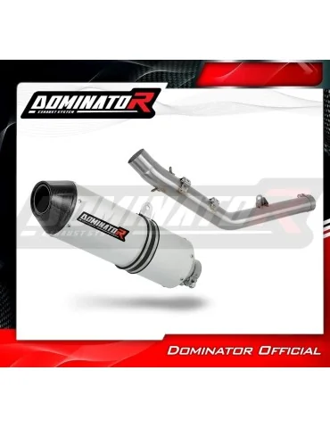 Silencieux slip-on Dominator MX2 pour Kove 450 Rally (2023-2025)