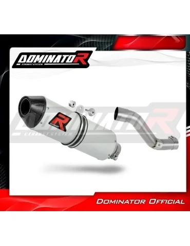Silencieux slip-on Dominator MX2 pour Yamaha TT 600E (1994-2003)