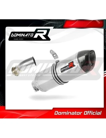 Silencieux slip-on Dominator HP1 pour Gas Gas SM 700 (2022-2024)