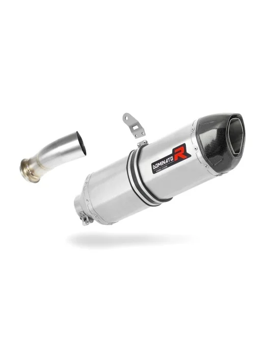 Silencieux slip-on Dominator HP1 pour Gas Gas ES 700 (2022-2024)