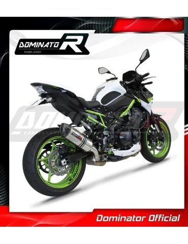Silencieux slip-on Dominator HP1 pour Kawasaki Z 900 A2 (2017-2019)