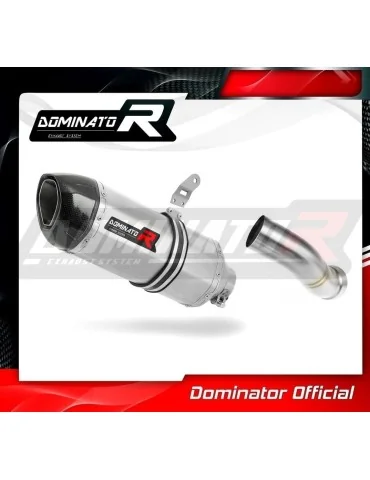 Silencieux slip-on Dominator HP1 pour Kawasaki Z 900 A2 (2020-2024)