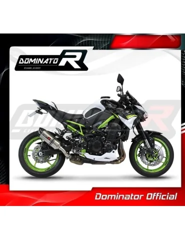 Silencieux slip-on Dominator HP1 pour Kawasaki Z 900 A2 (2020-2024)