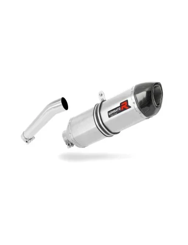 Silencieux slip-on Dominator HP1 pour BMW F650GS (2000-2003)