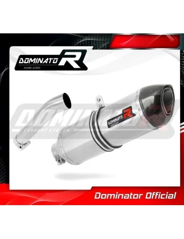 Silencieux slip-on Dominator HP1 pour BMW F650GS (2000-2003)