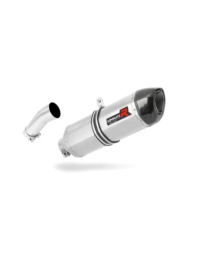 Silencieux slip-on Dominator HP1 pour BMW F800R (2009-2019)