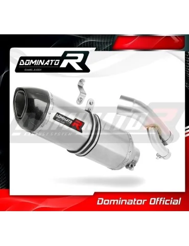 Silencieux slip-on Dominator HP1 pour BMW S1000RR (2017-2018)