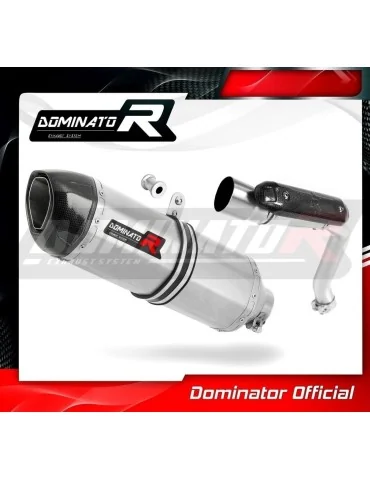 Silencieux slip-on Dominator HP1 pour Honda CB 600F Hornet (2003-2006)